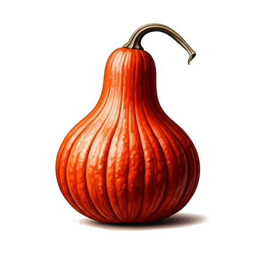 Courge
